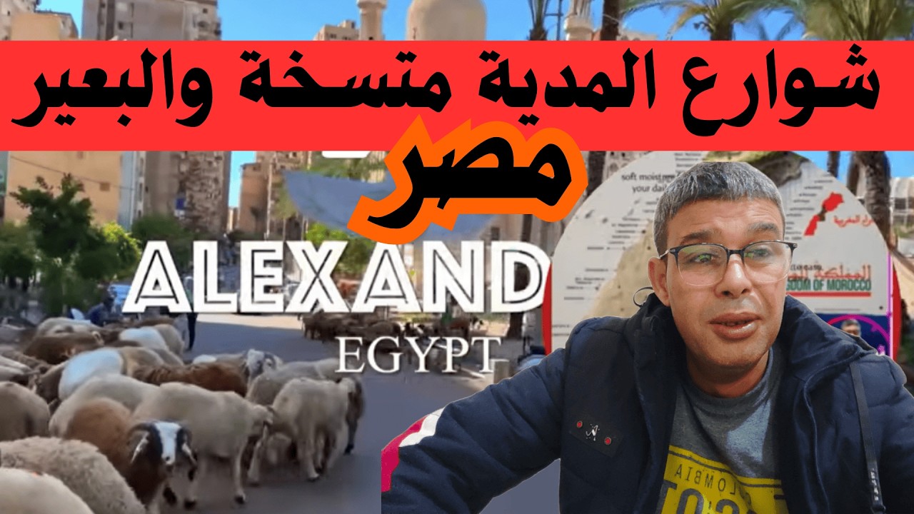 هل هذه هي مصر الحقيقية؟ الجمال في الشوارع والقمامة في كل مكان! 🐪