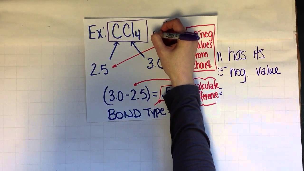 Periodic trends -electronegativity