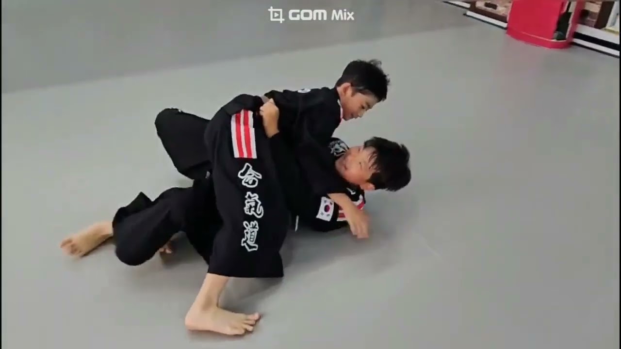 #합기도쌍호체육관 #합기도개인지도  합기도 초등부 개인지도 유성이와 정후 일상수련이야기