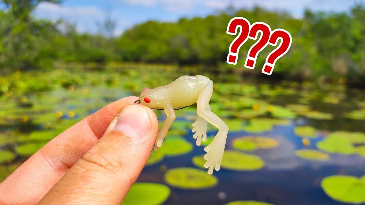 Je pêche avec cette MICRO GRENOUILLE dans un étang de DINGUE !!!