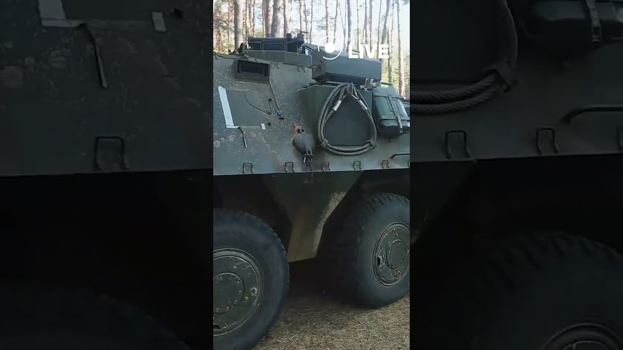 ‼️‼️‼️БТР Pandur 1