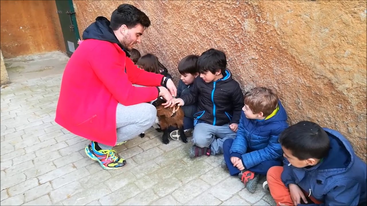 AMB OVELLES I CABRES