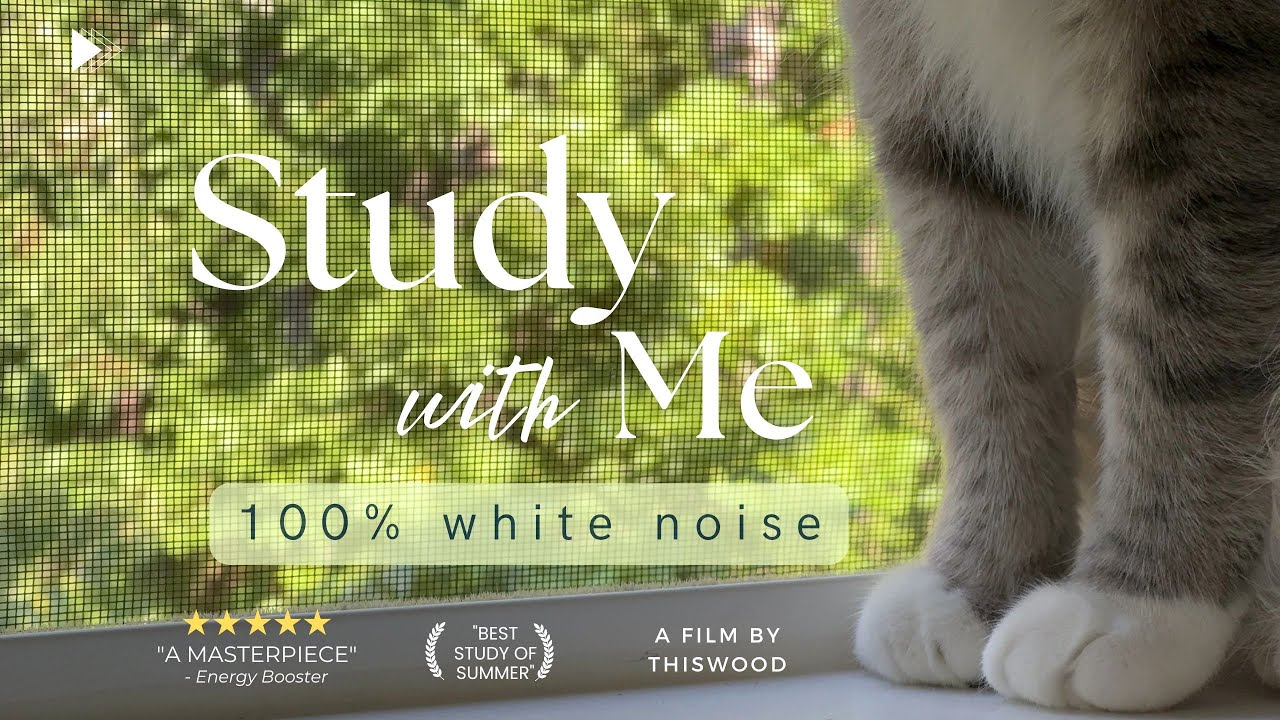 2-HOUR STUDY WITH ME & CAT 😺 / Late Summer Ambience 🐾 / 30-5 Pomodoro / Deep Focus ADHD Relief