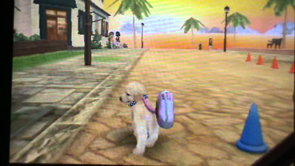 nintendogs+cats le déroulement des entrainement avec mes bouts de choux ! 3/3