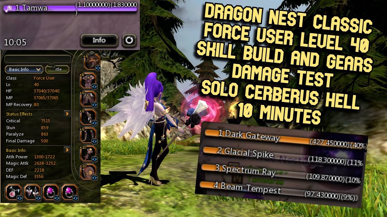 DN Classic Force User Lv 40 Skill Build & Current Gears Damage Test SOLO Cerberus Hell 10 Minutes