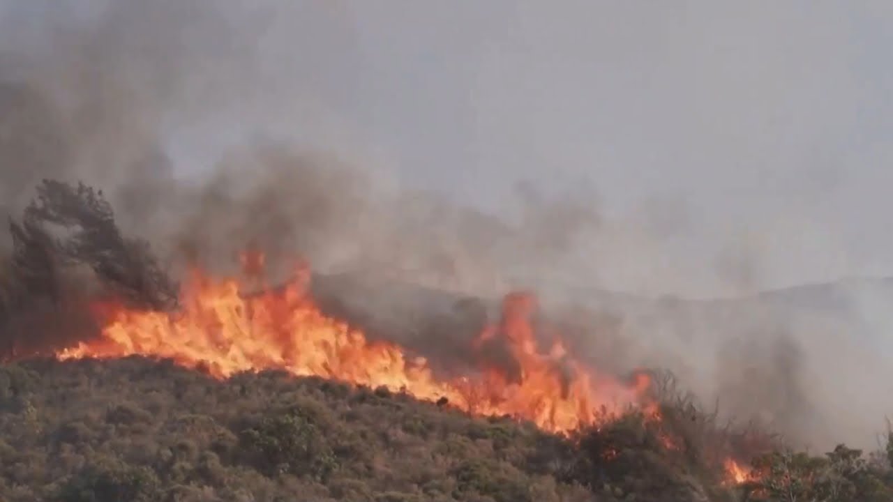 Mediterranean wildfires kill more than 40 people