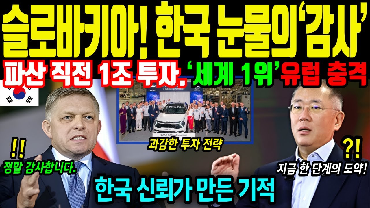 [해외감동사연]“미친 선택이라며 비웃던 땅” 일본·독일이 외면한 슬로바키아가 20년 뒤 한국에 보답한 이유