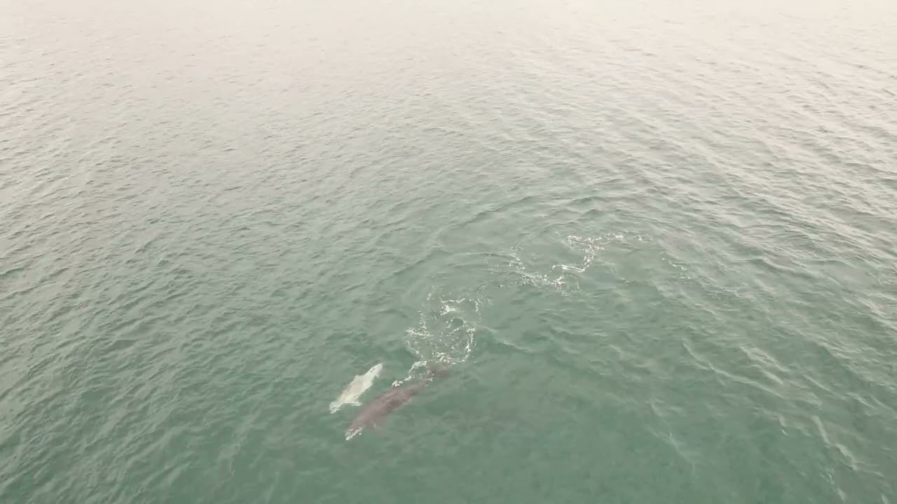 Burghead Scotland Drone Video 2023