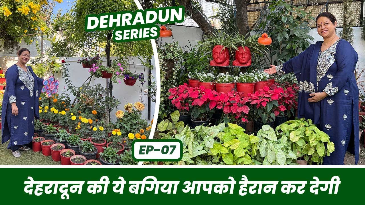 देहरादून की ये बगिया आपको हैरान कर देगी 🥰 Beautiful Garden of Dehradun EP-07