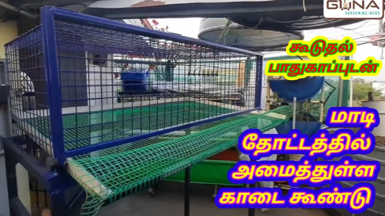 காடை கூண்டு செய்வது எப்படி. பெருச்சாளி தொல்லை இனிமேல் இல்லை | how to make quail cage. terrace garden