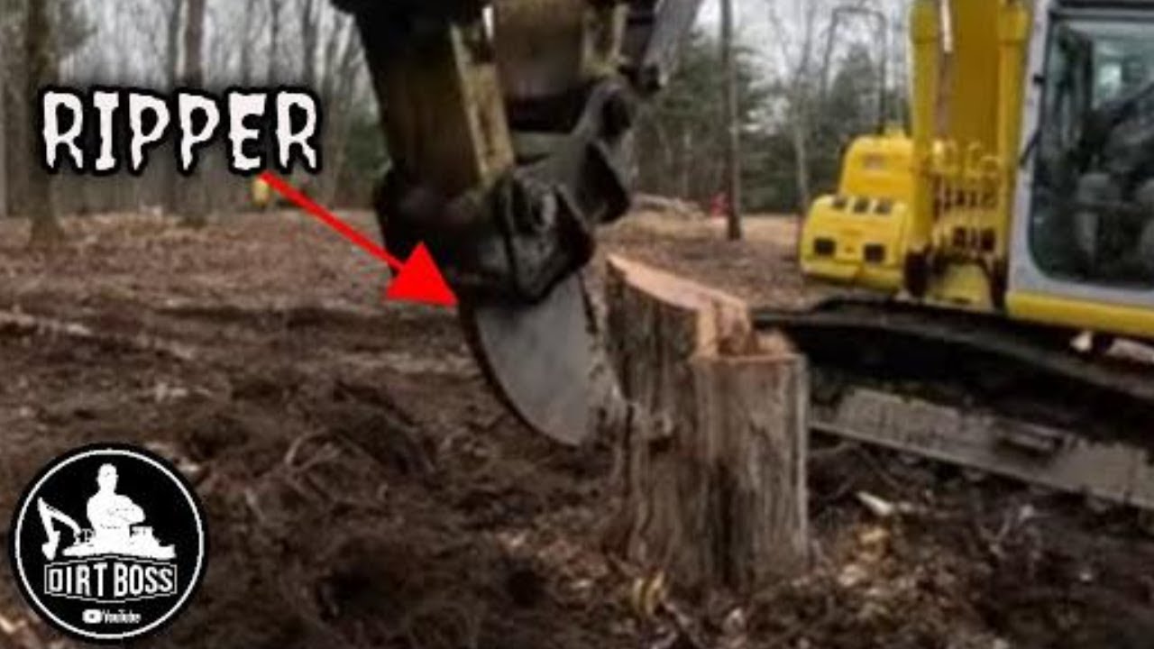 Frost ripper VS stumps