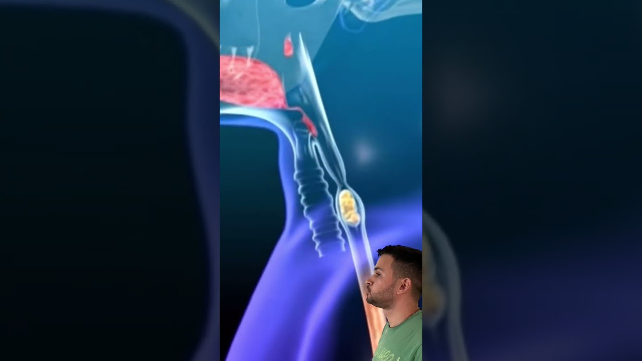 SISTEMA DIGEST&Oacute;RIO EM 3D #shorts