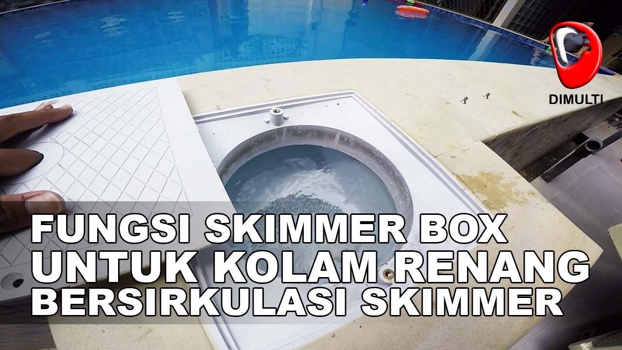 SKIMMER BOX, SOLUSI UNTUK KOLAM RENANG PRIBADI MINIMALIS ANDA