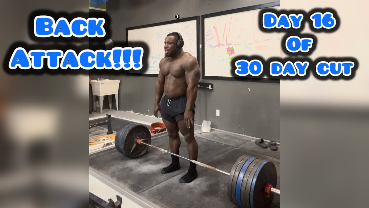 Day 17 of 30 Day Cut | Back Training