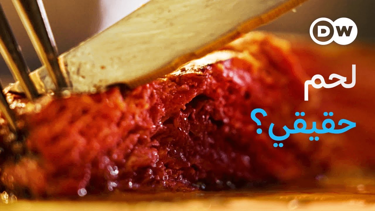 وثائقي | صناعة الغذاء - أطعمة جديدة للمستقبل: لحم حقيقي بدون حيوانات؟ | وثائقية دي دبليو