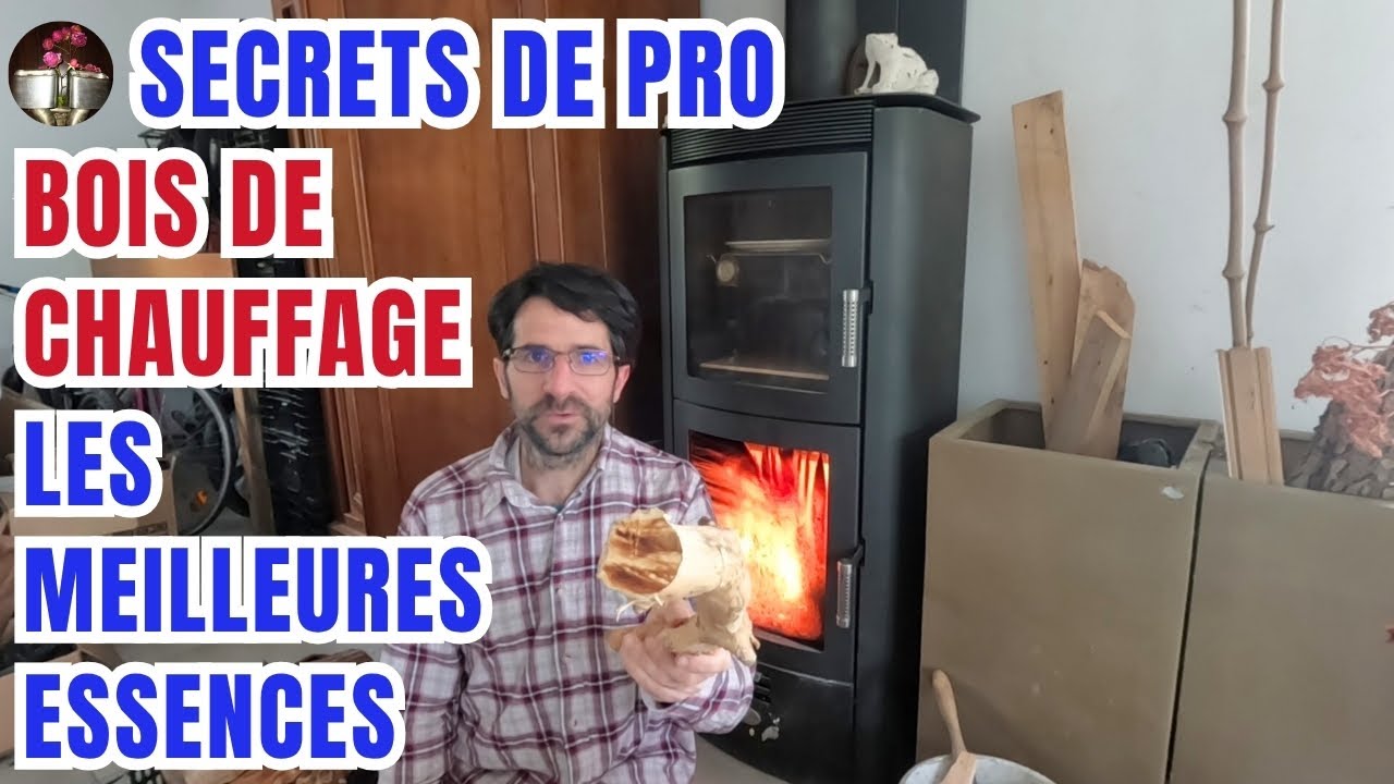 Secrets de pro - Bois de chauffage: un trésor dans votre jardin, les meilleures essences,poêle bois 