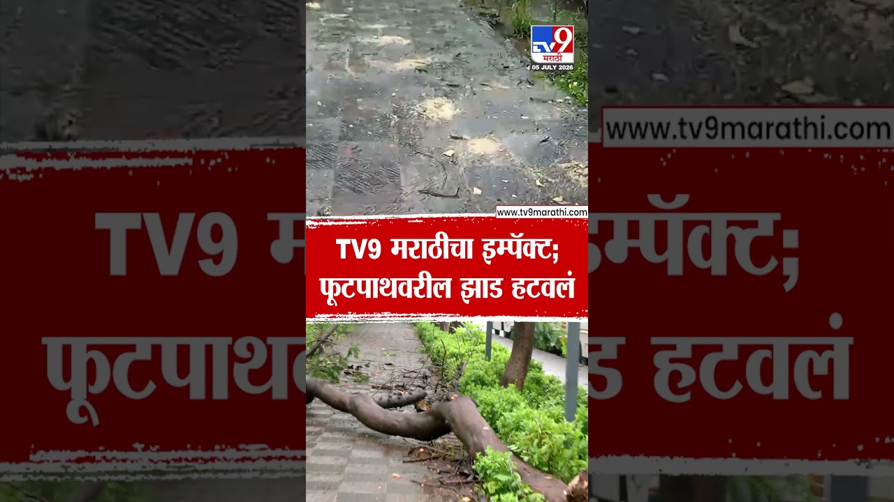 Navi Mumbai Tree Collapsed | tv9 मराठीचा इम्पॅक्ट; फूटपाथवरील झाड हटवलं