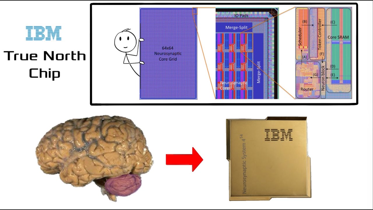 Neuromorphic Computing: How IBM Built Brain inspired Chip