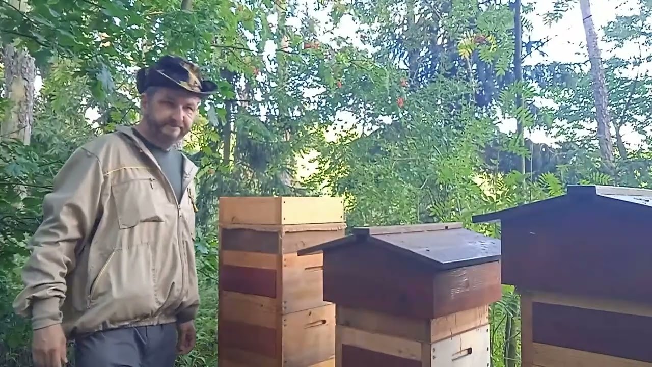 Krmení včelstev a pár slov o včelách