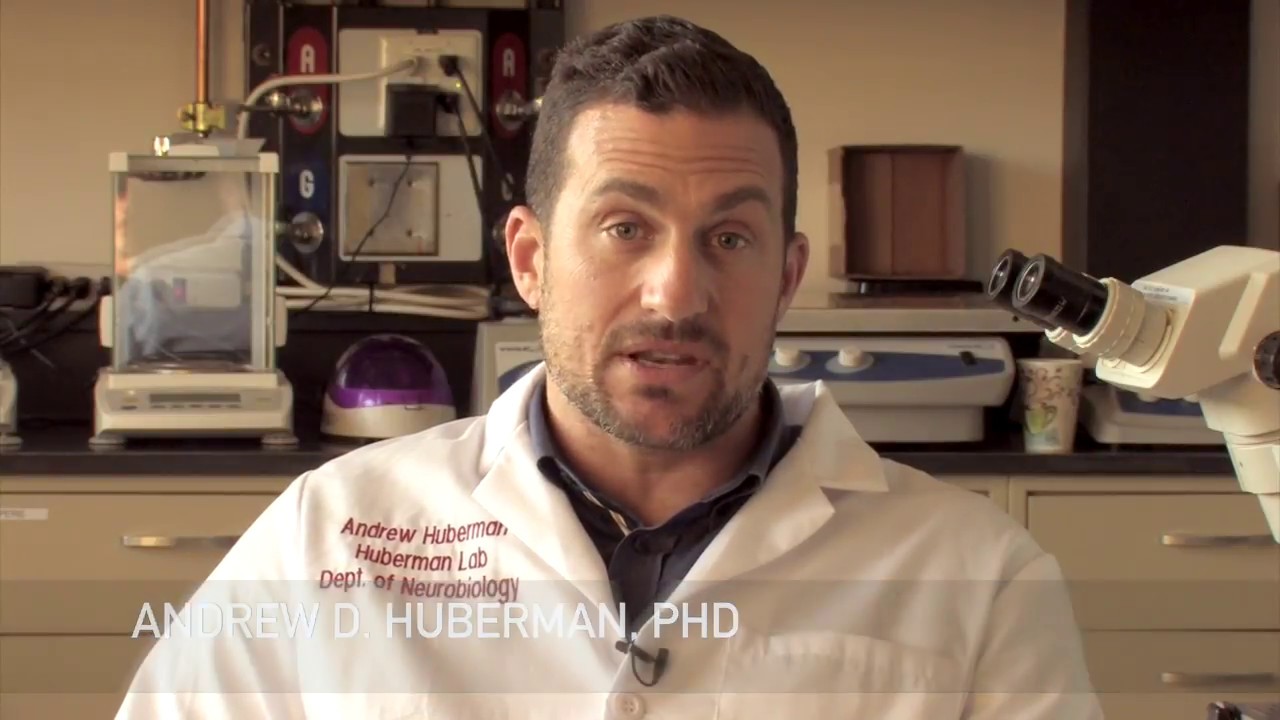 2018 Glaucoma Research Update: Andrew Huberman Lab, Part 1