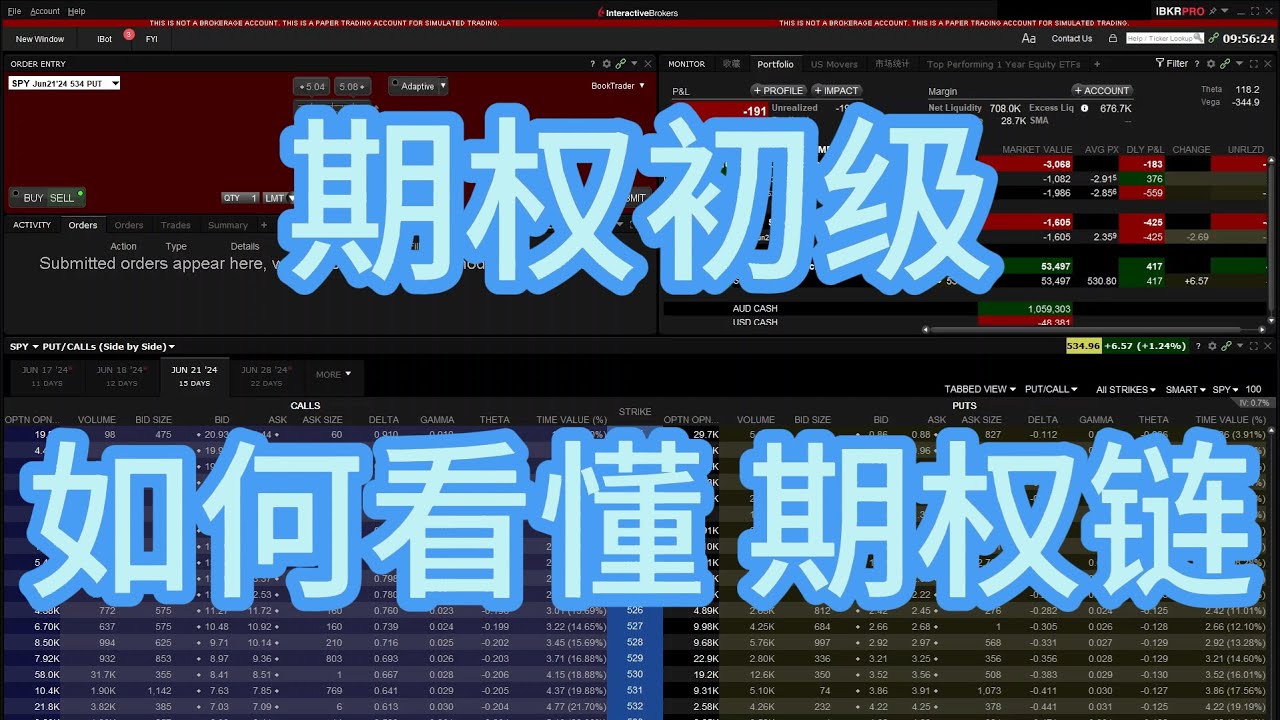 【期权初级】如何看懂期权链 Option Chain | 盈透证券 | 富途Moomoo | 第一证券 | Think or Swim