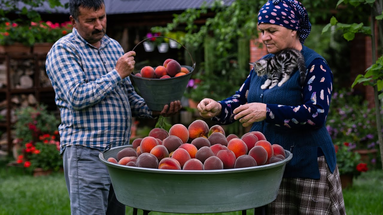 🍑 Сбор Персиков и Приготовление Натурального Сока на Зиму ❄️