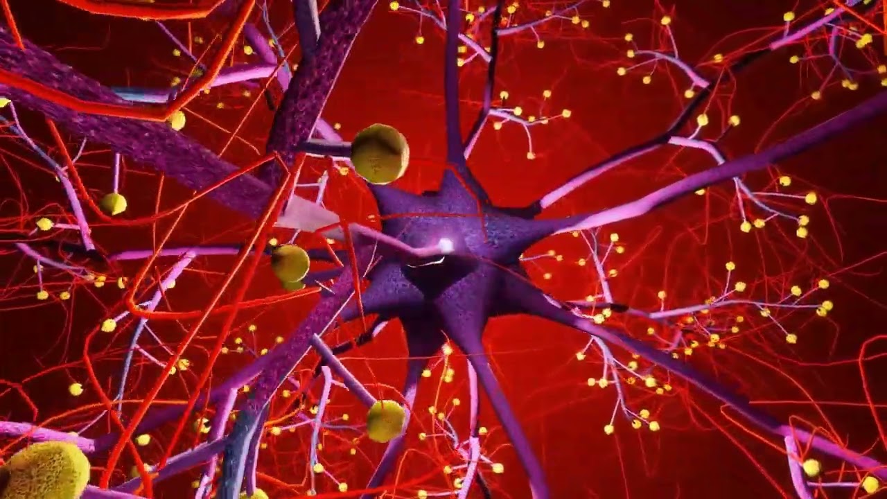 El cuerpo inventó la mente para sobrevivir