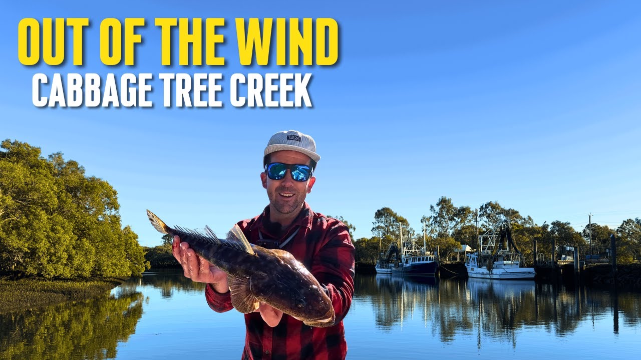 Fishing Cabbage Tree Creek 