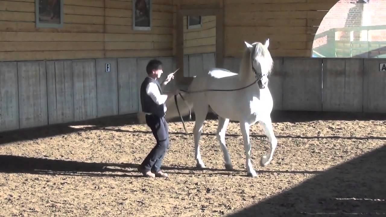 2014 - Weekendclinic with Bent Branderup at the Bornehoeve