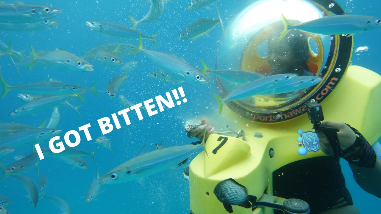 Oahu, Hawaii Underwater Scooter Adventure!