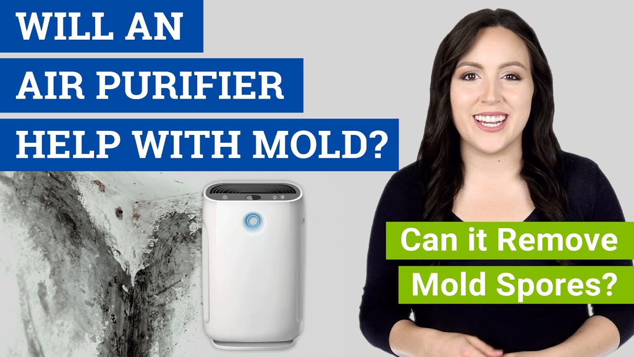 Will an Air Purifier Help with Mold? (Can it Remove Mold Spores?)