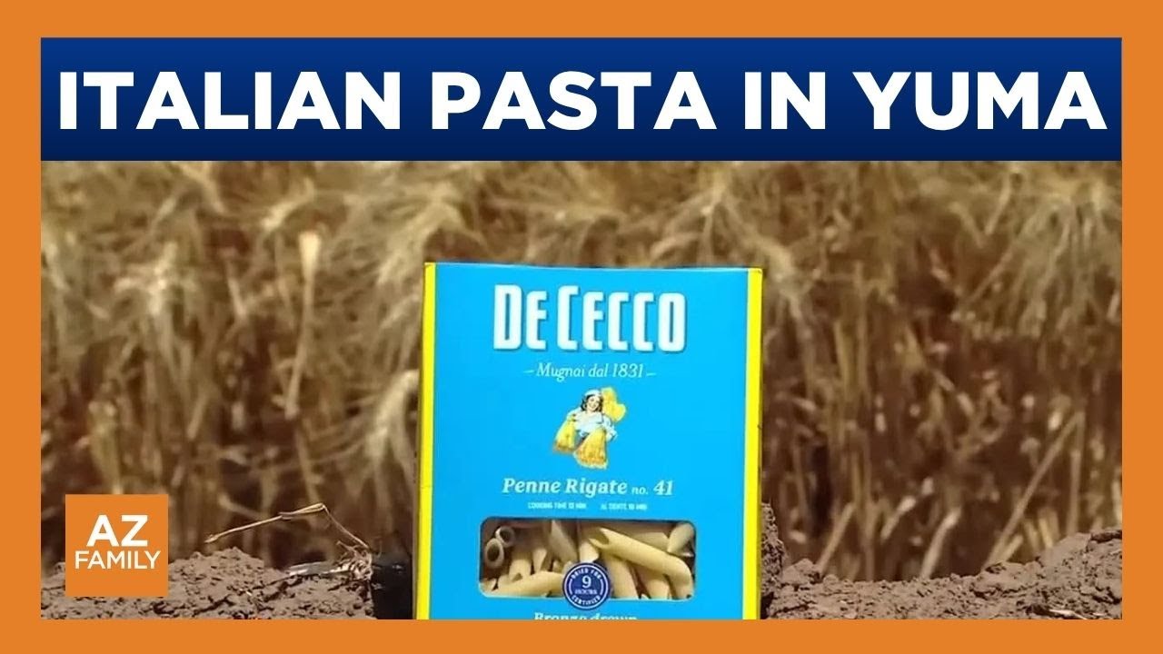 Yuma farmers growing wheat for Italian pasta