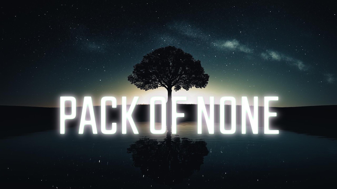 Pack of None - A Song for Solitude  | Chill Vibes