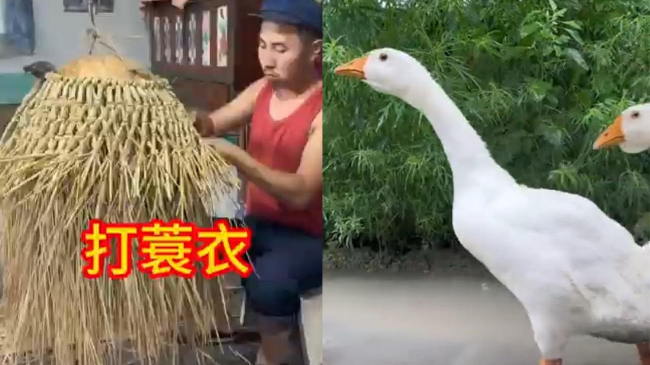 下雨没有雨衣，打个蓑衣避避雨#food #客家美食 #cooking #潘姥姥美食 #delicious #美食分享日常
