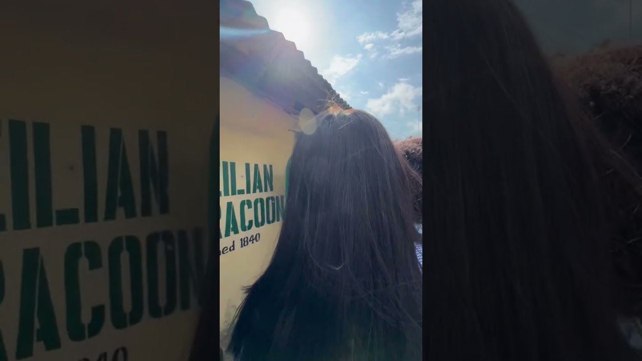 КАК ДЕНЬ ЭКСКУРСИИ/ПОЕЗДКИ ВЕРНУЛСЯ В ТЕКУЩИЕ ДНИ