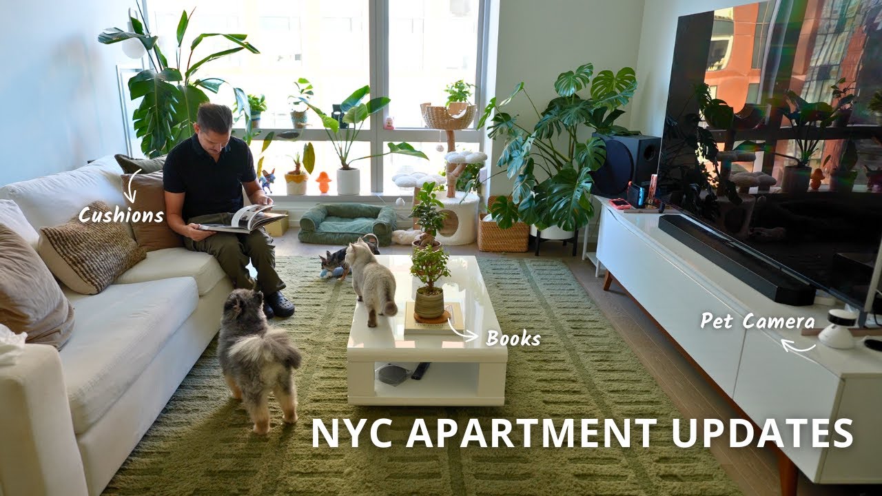 NYC apartment updates: testing pet camera + new decor