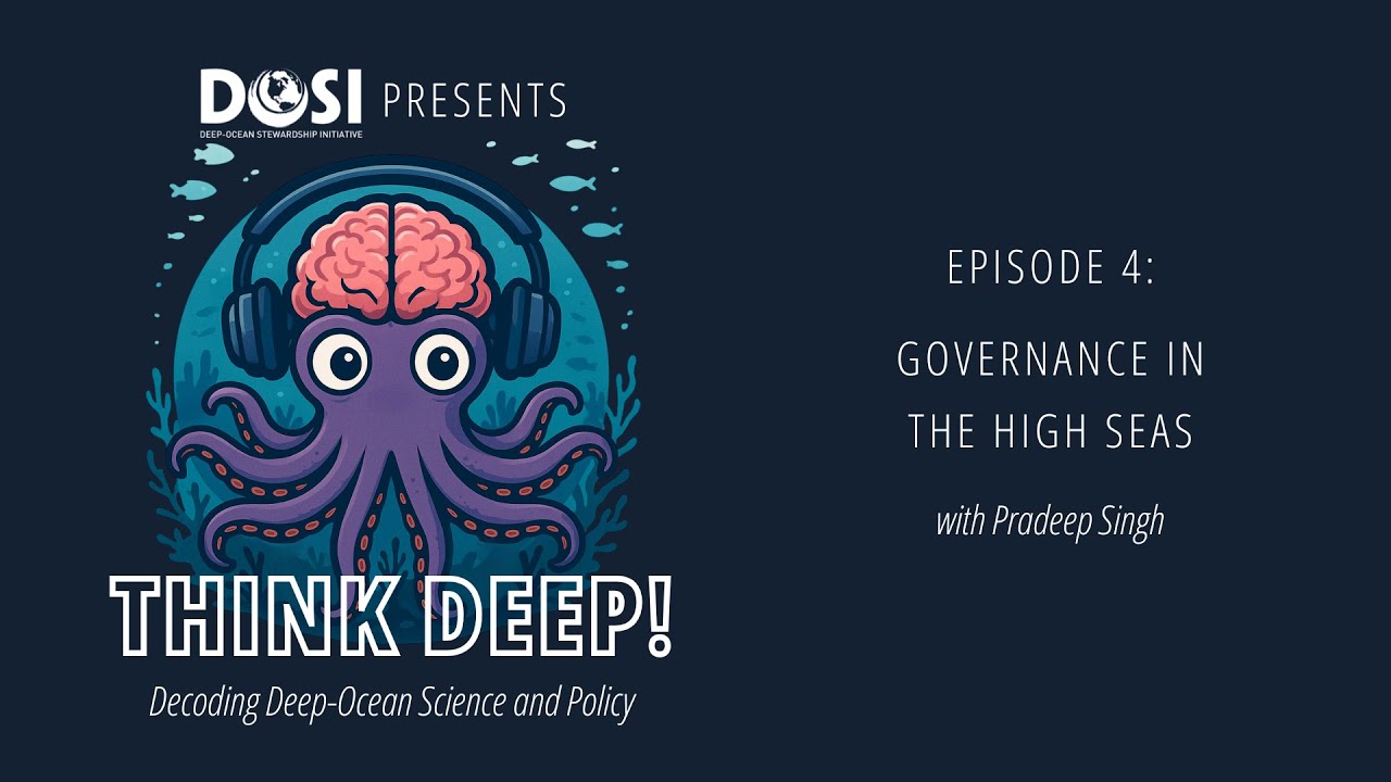 Episode 4: Governance in the High Seas