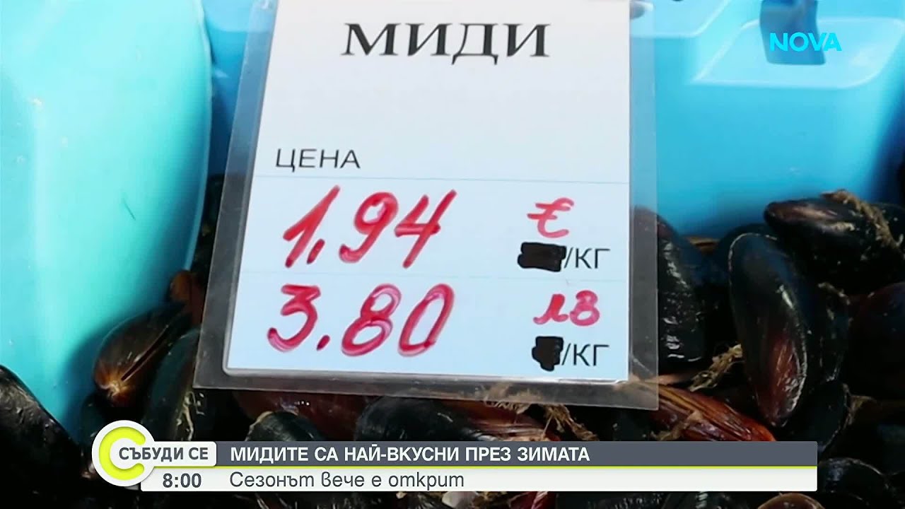 Зимен деликатес от морето: Черноморските миди се търсят масово в Каварна
