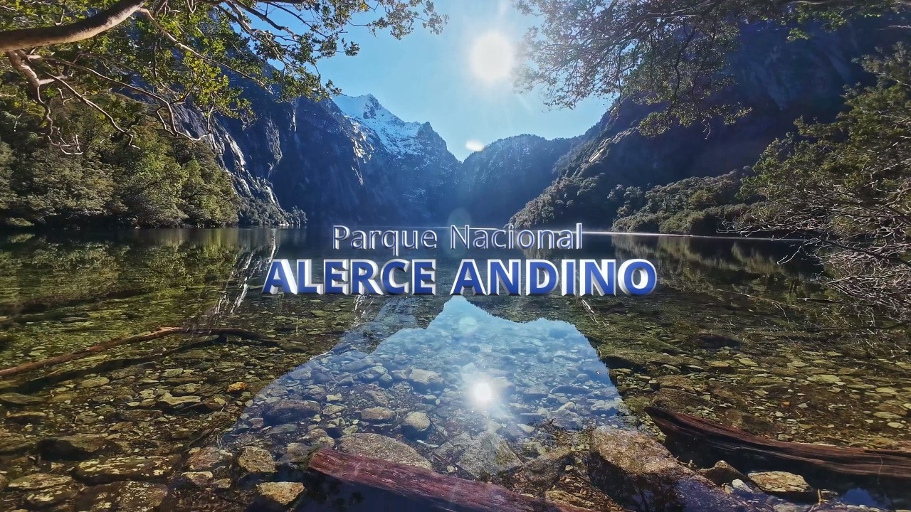 Trekking Épico en Parque Nacional Alerce Andino: ¡Descubre la Laguna Triángulo!🏞️