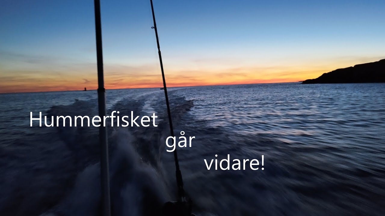 Hummerfisket går vidare.