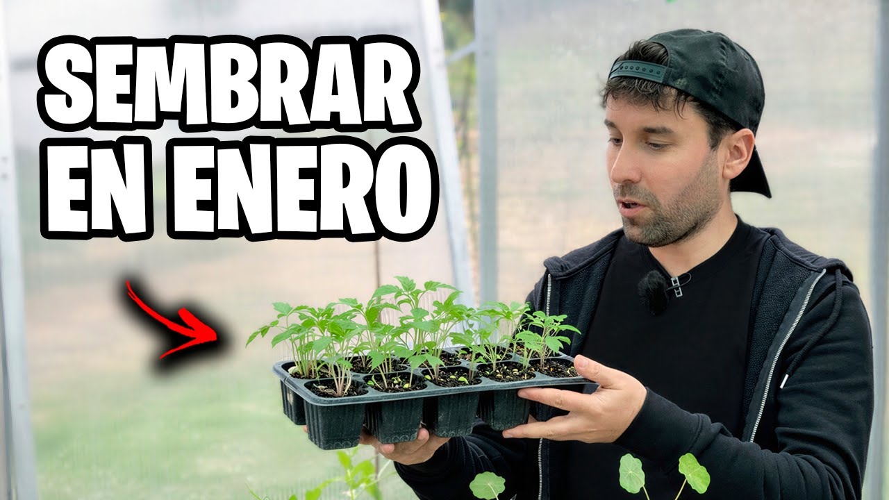 ¡Qué Sembrar en Enero! 🚀 Nuevo Calendario de Siembra 2026 (Hemisferio Norte y Sur)