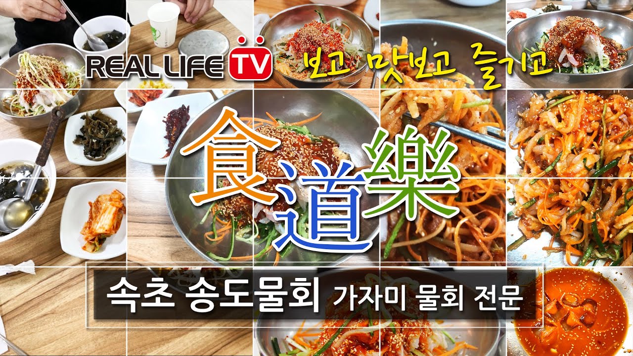 리얼라이프TV 속초송도물회 맛집
