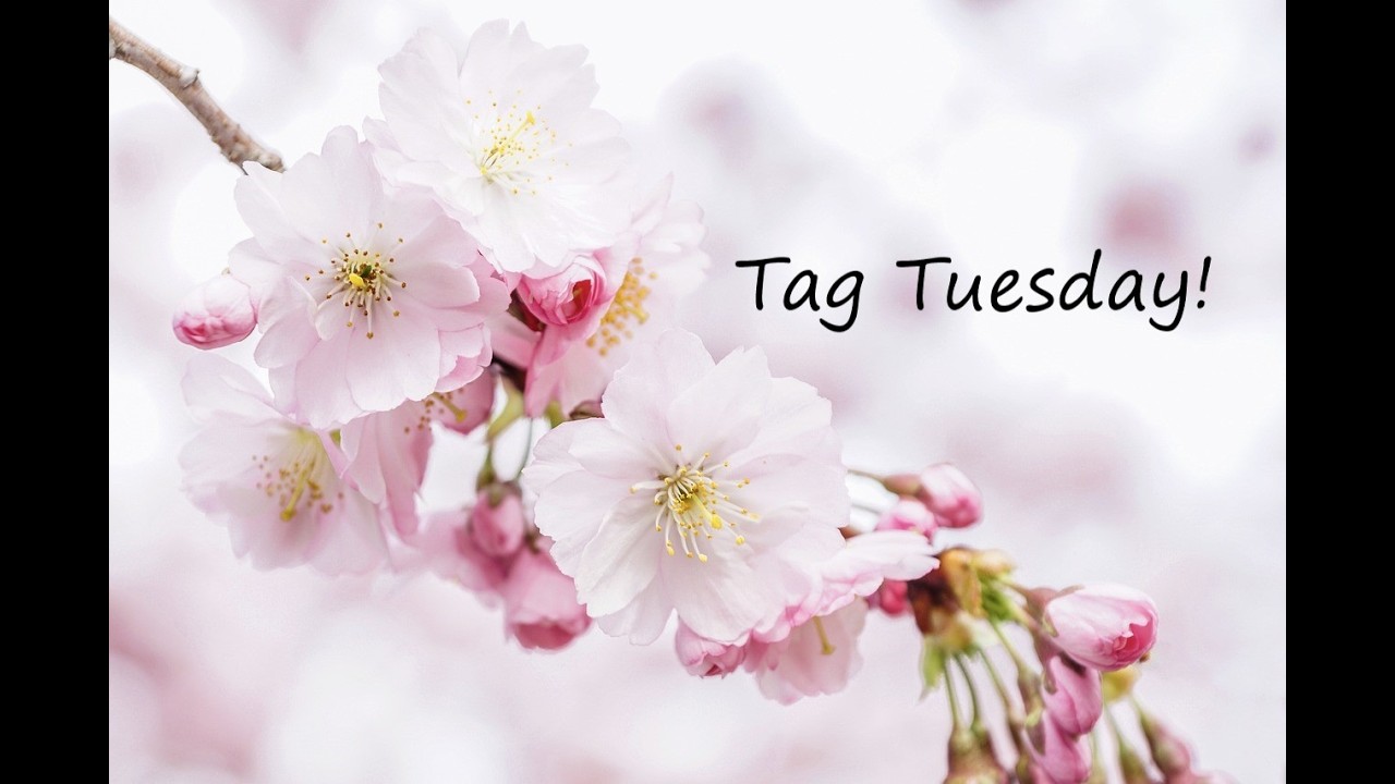 TAG TUESDAY   Updates & Amity Bloom