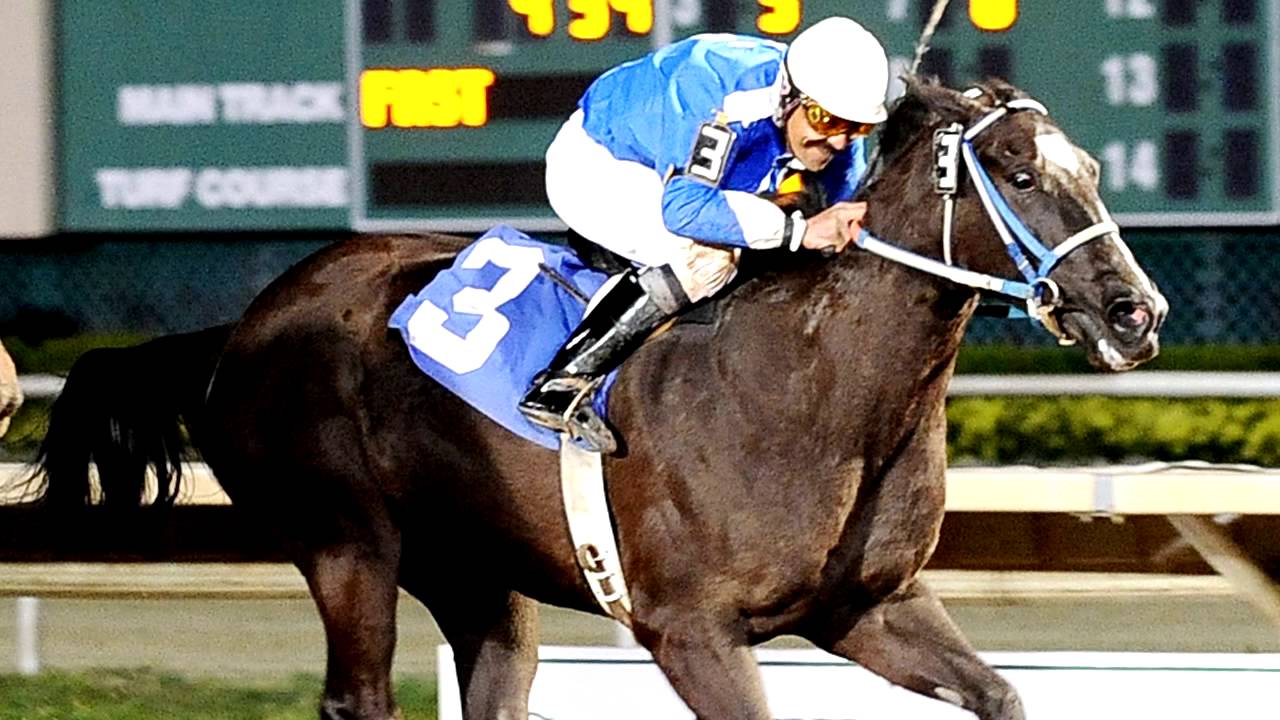 Speedhorse Weekend WrapUp - Apr 14, 2014