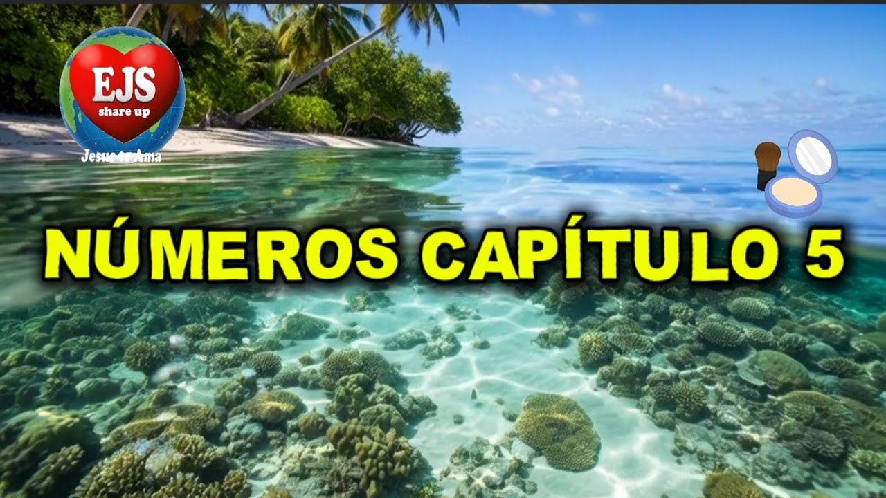 NÚMEROS CAPÍTULO 5