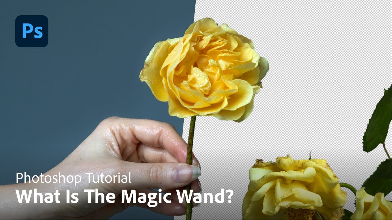 How to Master the Magic Wand Tool for Seamless Selections! I Photoshop Explained I Adobe UK