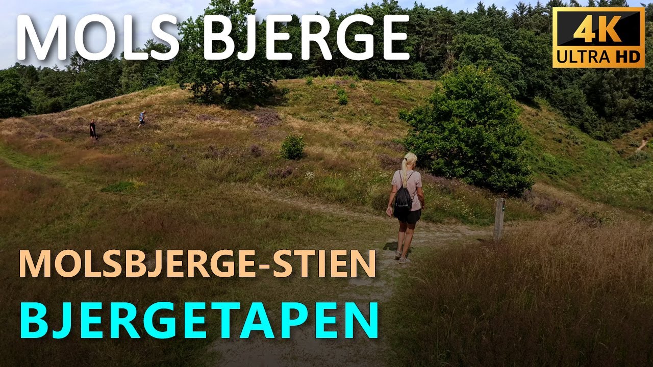 Vandretur i Mols Bjerge. Mols Bjerge Stien, Bjergetapen.