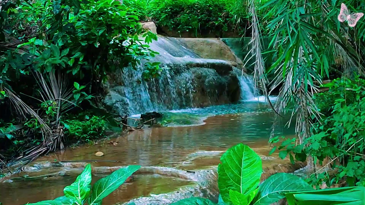 Relaxing Music For Stress Relief, Anxiety and Depressive States🌲 Heal Mind, Body and Soul Calm 67