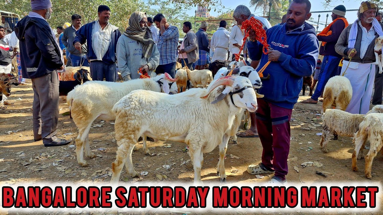 Bangalore Saturday Morning Market 