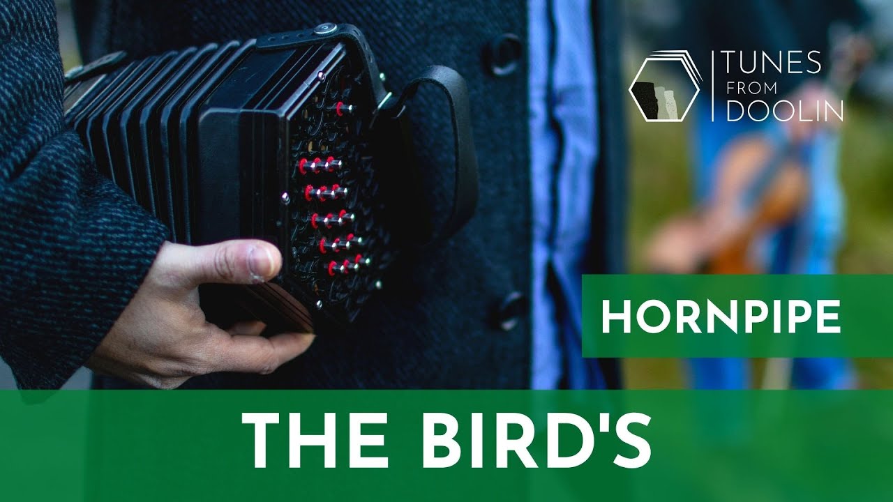 BIRD'S (Hornpipe) | Irish Music Tunes on Concertina 🎵☘️